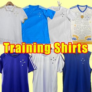 2023 2024 Camisa Cruzeiro Soccer Jerseys 100 -årsjubileum Fotbollströjor 23/24 Pottker Dede R.Sobis Camiseta de Raposas Men Football Shirt Training Vest