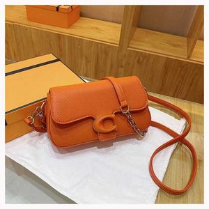 Şık C-Litter Tabbys Tasarımcı Çanta Çok Çözünürken Lüks El Çantası Zinciri Tasarımcı Kadınlar İçin Omuz Çantaları Deri Moda Crossbody Çantalar