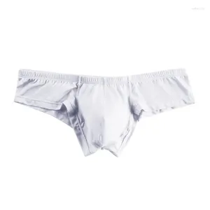 Homens de banho sexy homens biquíni roupa interior transparente spa nadar briefs praia bronzeamento maiô porno troncos de banho shorts bolsa 2024