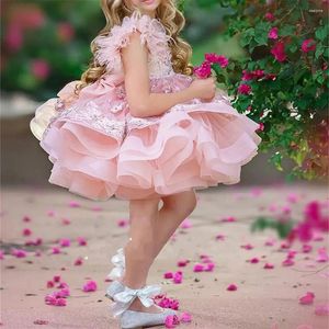 Flickaklänningar Flower 2024 Pink First Communion Princess Feathers ärmar Bow Birthday Party Gown for Kids Ball Celebration