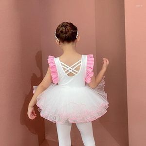 Scene Wear Fairy Party Costumes Tutu Dancewear Summer Ballet Dress Gymnastics Leotard Bodysuit For Dancing Girls Kids Ballerina