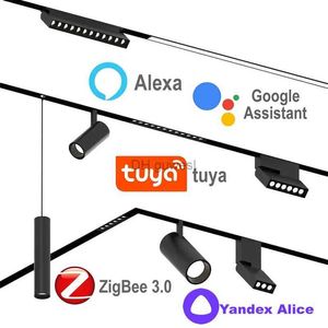 Luzes de pista Zigbee Tuya Smart Home Magnética LED Luz de pista regulável 2MQTT Alice Assistant Alexa 48V Lâmpadas de teto Rail Spot Light Fixture YQ240124