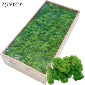 2040g Artificial Green Plants Eternal Life Moss Grass Home Living Room Garden Decoration Mini Landscape Fake Flower DIY Crafts 240127