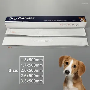 Cateteri per abbigliamento per cani Catetere urinario canino sterile Pietra uretrale 50 cm Materiale di consumo veterinario aperto lateralmente