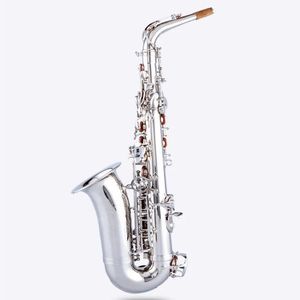 Kaluolin Nowy alt saksofon srebrny mosiądz mosiężny saksakowy ustnik padły padowe trzciny gięcie szyi