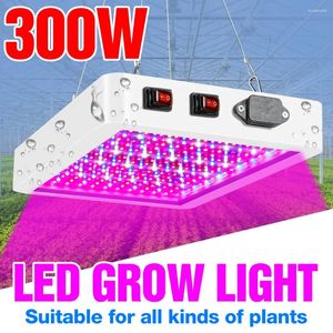 Luzes para crescimento de plantas em ambientes internos, lâmpada led para crescimento de plantas, espectro completo, 300w, 500w, fito hidroponia, mudas, flor, fitolamp, tenda