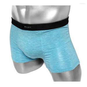 Unterhosen PEAJOA Marke Baumwolle Männliche Boxershorts Unterwäsche Hohe Qualität Liste Bambusfaser Männer Höschen