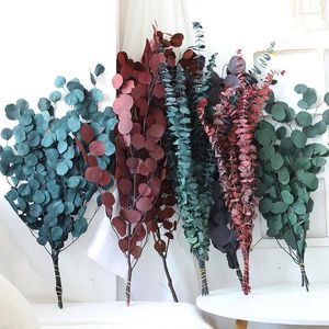 Flores decorativas reais naturais flores secas 100g eucalipto folha de maçã grama folhas buquê para casamento decoração de casa sala de estar