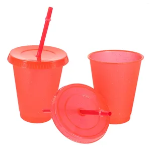 Disposable Cups Straws 2pcs Coffee Travel Mugs Water Drink With Lid And Straw 500ml