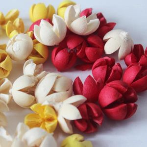 Decorative Flowers Dried Flower Raw Material Pistachio DIY Materials Christmas Home Decor Garland Ingredients Colourful