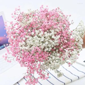 Decorative Flowers Gypsophila Dried Fleurs Sechees Natural Babys Breath Preserve DIY Craft Wedding Party Home Boho Back Drop Decor