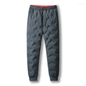 Мужские брюки, зимние пуховые водонепроницаемые и теплые утолщенные спортивные брюки для молодежи, белые брюки для отдыха, 2024