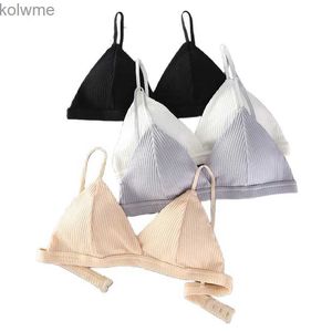 Бюстгальтеры женские хлопковые бюстгальтеры Push Up Bralette сплошной цвет сексуальное женское белье бесшовный бюстгальтер женский без косточек нижнее белье девушки простые бюстгальтеры YQ240203