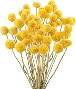 Dekorativa blommor Naturtorkade Craspedia Billy Balls Perfekt för blommor Arrangemang Bröllopsdekor Hem Tall Vase Yellow