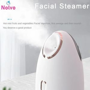 Warm Mist Steam Sauna Beauty Steam Cleaner Nebulizer Face Humidifier Nebulizer Face Steamer Beauty Instrument 240119