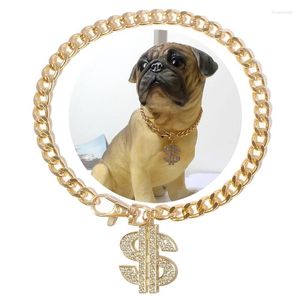 Abbigliamento per cani Catena placcata oro di lusso Collare pendente con dollari in metallo per cani Bulldog francese Collana di gioielli di moda Accessori per animali domestici