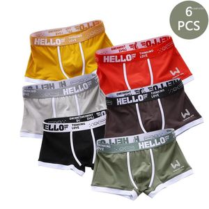 Underbyxor 6st/Lot Fashion Men's trosor Bomullsboxarehorts Letters Man Underwear Boxers andningsbara u konvex manlig stor storlek