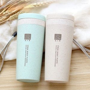 Bottiglie d'acqua da cucina Paglia di grano Doppio isolamento Regalo Tazza Bicchiere con coperchio Ecologico 16,8x7 cm Tazza da caffè invernale Thermos da viaggio