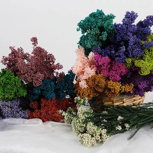 Fiori decorativi 60g / Fiori secchi naturali freschi conservati Mi eterni per la festa nuziale Accessori per la decorazione della casa Puntelli per la fotografia