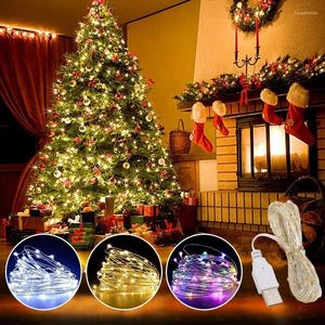 سلاسل عيد الميلاد الأضواء الجنية الأسلاك النحاسية LED String USB Power Garland تعمل لزفاف غرفة النوم سنة الزفاف ديكور المنزل