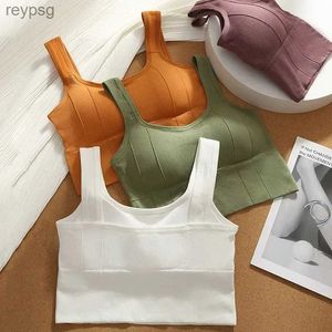 Bras Bras Sets Breathable Sports Bra Anti-sweat Fitness Top Women Seamless Yoga Bra Shockproof Crop Top Push up Sport Bra Gym Workout Top YQ240203