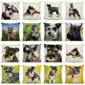 Travesseiro Bonito Schnauzer Fronha Decorativa Capa de Lance Padrão de Cão S Decoração de Casa 45x45cm DWG059