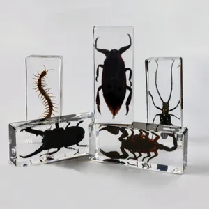 Dekorativa figurer stora skorpionsprov i hartsinsektspindlar bugbagge Centipede Model Desk dekoration
