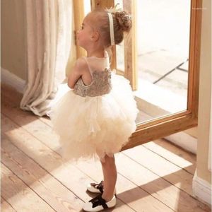 Girl Dresses Princess Ball Gown Infant Floral Tutu Spring Summer Girls Cake Dress Party Evening Birthday
