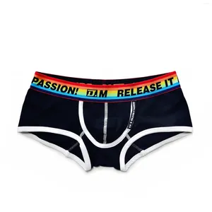 Cuecas masculinas cintura baixa sexy cor sólida preto e branco básico arco-íris independente cápsula design boxer briefs