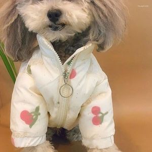 Abbigliamento per cani Simpatico cappotto in cotone ciliegia Vestiti per animali domestici Giacca calda Abbigliamento per cani Gatto Stampa piccola Giacche invernali alla moda bianche