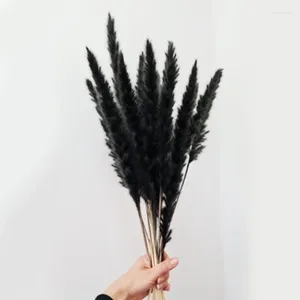 Decorative Flowers Black Bunny Tail Grass Dried Flower Natural Pampas Real Reed Small Bulrush Bouquet Home Office Decor Wedding Dekoration