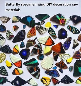 Gerçek Kelebek Örnek Kanatları Rastgele Teslimat Diy Takı El Sanatları Ev Dekorasyon Malzemeleri Reçine Charms 240202