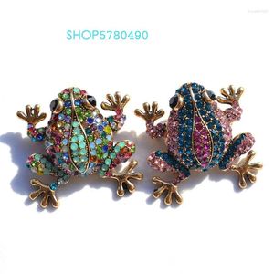 Brooches Fashion Jewelry Mix Color Rhinestone Frog Cute Brooch For Women Anti Gold Pin Girl Causual Garments Accessory Gifts