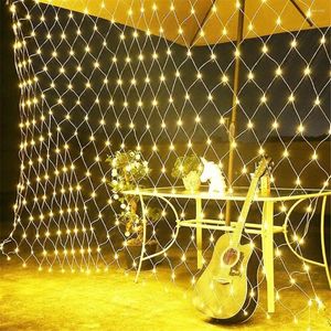 Stringhe 4mx6m 1,5mx1,5m 2x3m Garlande natalizie Luci a rete a LED a LED Fairy Party Garden DECORAZIONE DECORAZIONE DECORAZIONE DEL MATRIONE LUCE