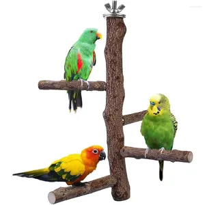 Altre forniture per uccelli Supporto per pesce persico Giocattolo Gabbia per pappagalli in legno naturale Accessori per rami per parrocchetti Cockatiels Conuri Ara