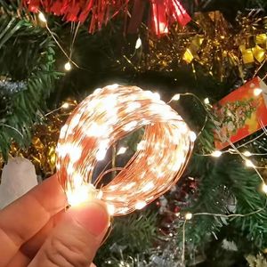 Decorazione per feste PaaMaa USB LED String Lights Rame Argento Filo Ghirlanda Luce Fata impermeabile per matrimonio di Natale