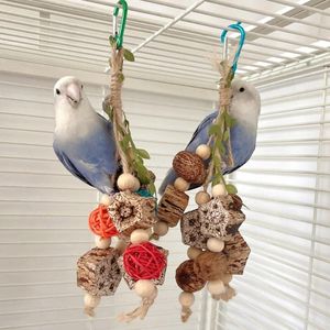 Andra fågelförsörjningar färgglada hängande papegoja molära leksaksartiklar biter husdjur för träningssvingande bitande