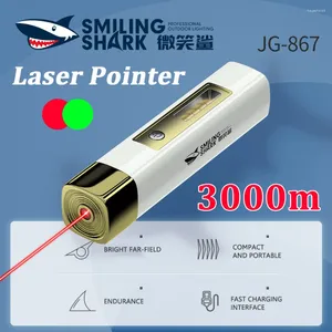 Ficklampor facklor 3000 meter kraftfull laserpekargrön/röd dot ficklampa för katter hundar tränar träning roliga husdjur leksaker