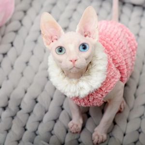 スフィンクス猫の衣服肥厚した暖かい子羊ウールコートペット猫猫スフィンクスプルオーバーベスト冬のアウトウェアペット用品XS-XL 240130