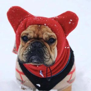 Cão vestuário inverno animal de estimação chapéu macio à prova de vento traje quente orelhas capa headwear para pequenos animais animais de estimação gato gatinho médio a grande