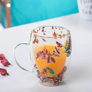 Muggar 1 bit kreativ dubbel väggglas mugg kopp med torr blomma snigel conchs glitter fyllningar för kaffemjölk