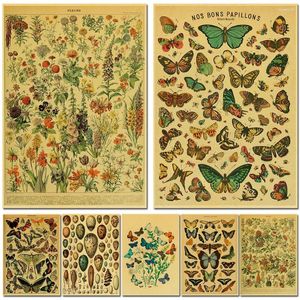 Obrazy motyl owad kwiat grzyb plakat botaniczny edukacyjny papier karfotka majsterunek