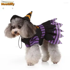 Abbigliamento per cani Costume di Halloween Ffantasia Travestimento divertente per cani di piccola taglia Vestito Natale Pirata Stregone Cosplay