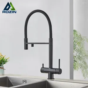 Kitchen Faucets Rozin Filter Water Faucet Black Pull Down Flexible Sprayer 2 In 1 Purification Pure Mixer Tap 360 Swivel