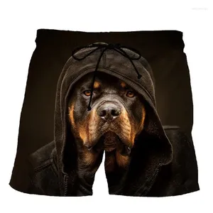 Shorts masculinos bonito cão pastor calças curtas homens mulheres criança moda 3d impresso troncos de natação praia skate esporte casual solto