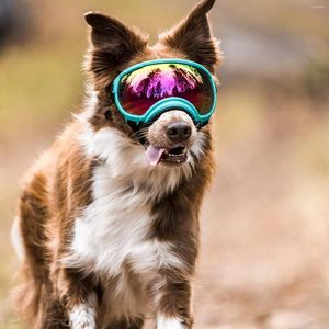 Hundkläder solglasögonglasögon med justerbar rem UV-skydd WINSOBRABEL Lämplig för medelstora husdjursglasögon