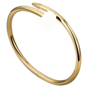 2024Love Gold Armband Nail Armband Designer Bangles For Women Mens rostfritt stållegering Armband18K Pläterad Gold Silver Rose Jewelry Diamond Armband