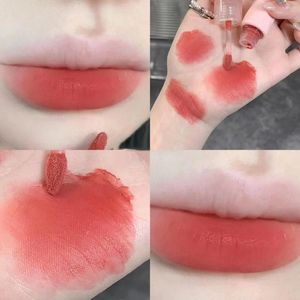 Lip Gloss 6 Cores Sexy Veludo Matte Líquido Batom Lipgloss Beleza Vermelho Nude À Prova D 'Água Longa Duração Mancha Maquiagem Para Mulheres