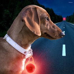 Coleiras de cachorro ao ar livre coleira led 4 modos mudança de cor recarregável pet pequeno e médio noite nightlight acessórios