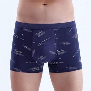 Unterhosen 95 % Baumwolle Herren U Convex Boxershorts Mittlere Taille Dreidimensionaler Druck Herrenunterwäsche Rabatt verfügbar für 3 oder mehr Artikel